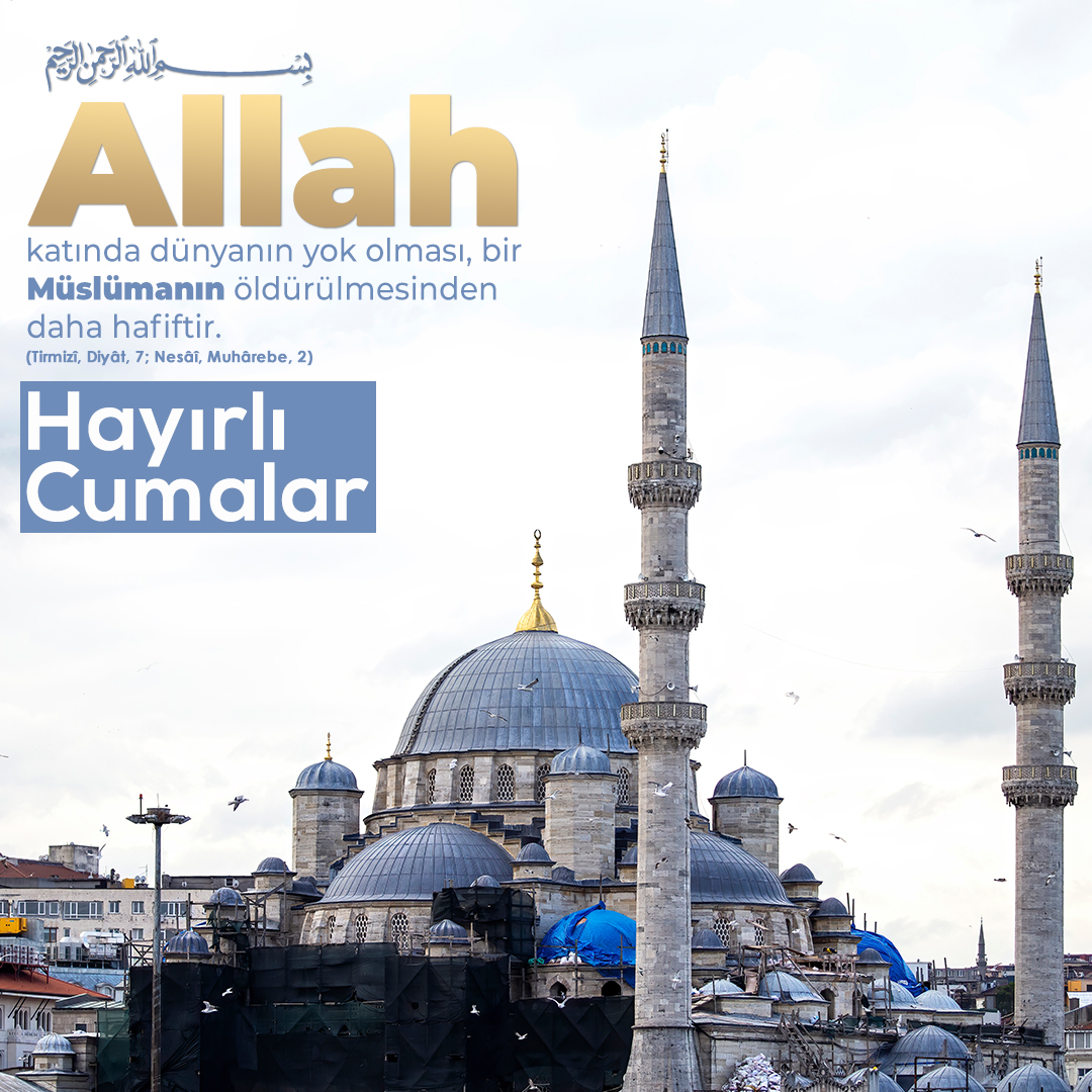 Sosyal Sohbet Projesi İle Chat Siteleri