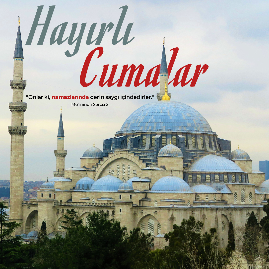 Erzincan Sohbet Tüm Yaş Grupları